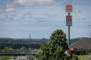 Ausschnitt aus dem Blick-Artikel zeigt einen Spargel durch ein grünes Herz