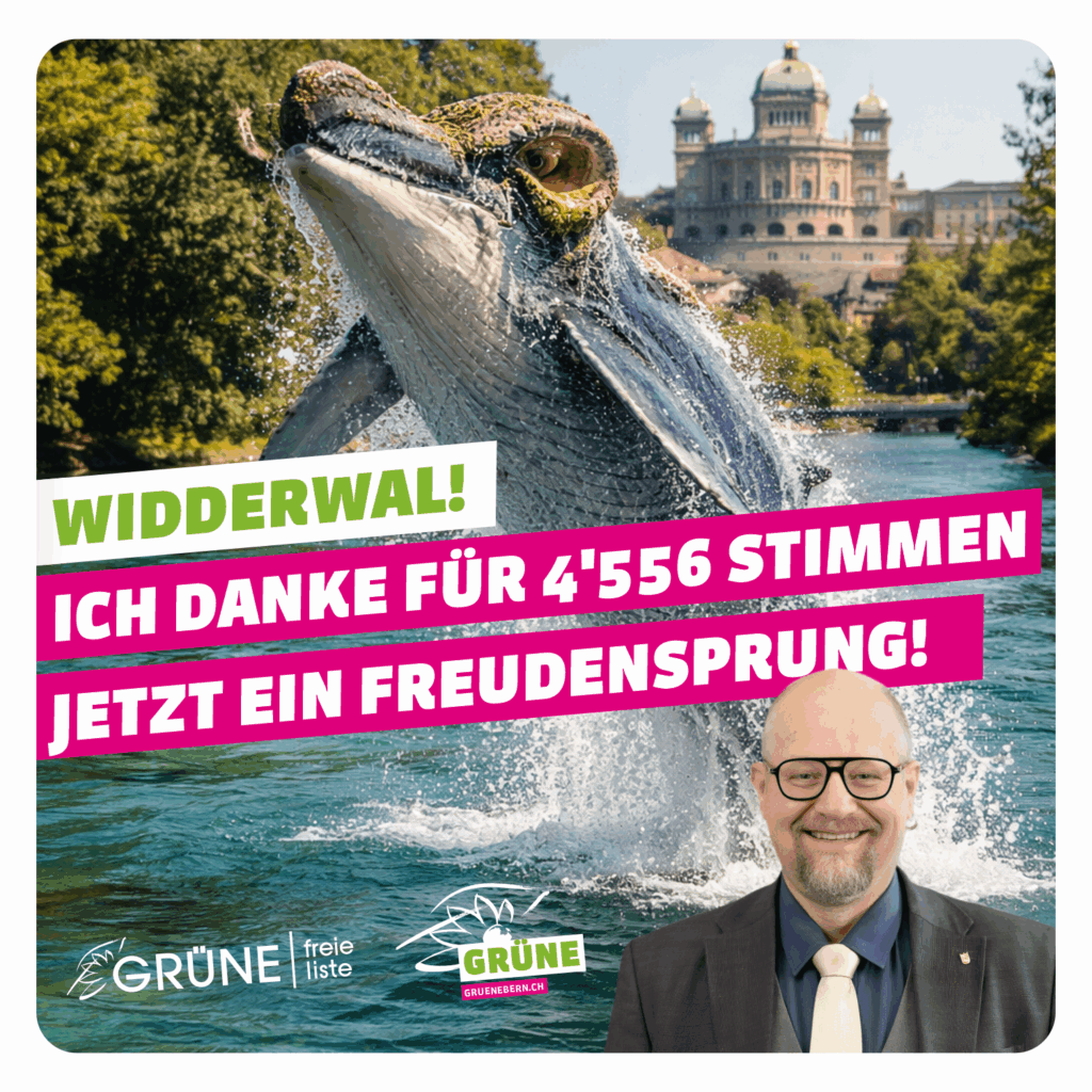 Vor Freude springt der Widderwal aus dem Fluss im Aaretal 4556 Stimmen an der Zahl trotz eurer steten Qual der Wahl Ihr ahnt’s, ich freue mich total auf Politik global-lokal!